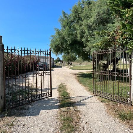 « La Parenthese » Gite En Camargue Arles Zewnętrze zdjęcie