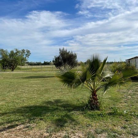 « La Parenthese » Gite En Camargue Arles Zewnętrze zdjęcie